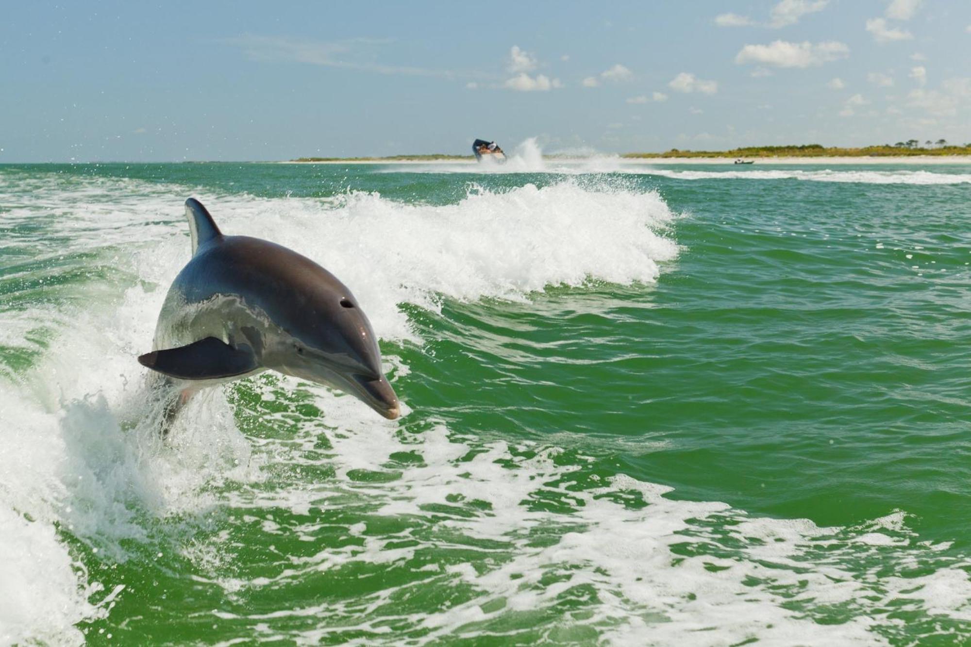 Holiday Inn & Suites Clearwater Beach S-Harbourside Екстер'єр фото